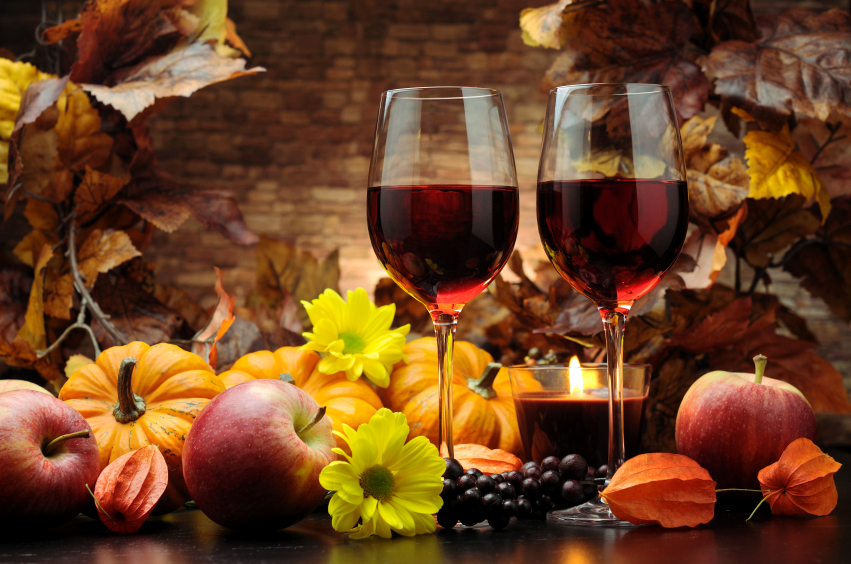 Red Wines for Fall- Vineyard Frederick MD