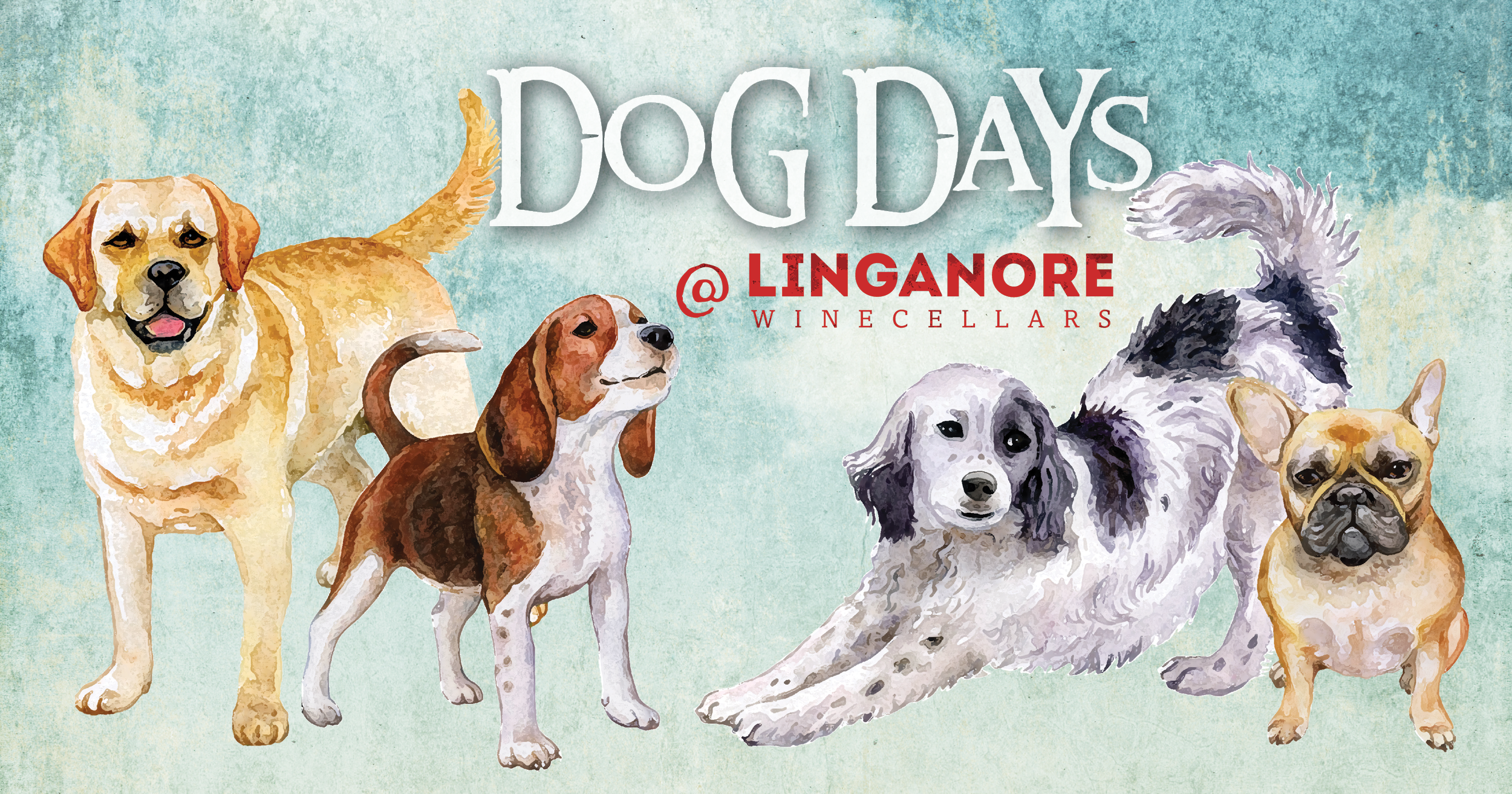 Dog Days at linganore bring your dogs to the winery