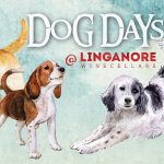 Dog Days at linganore image of dogs