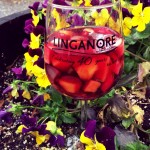 Sangria- Festivals- Wine Tastings in Maryland