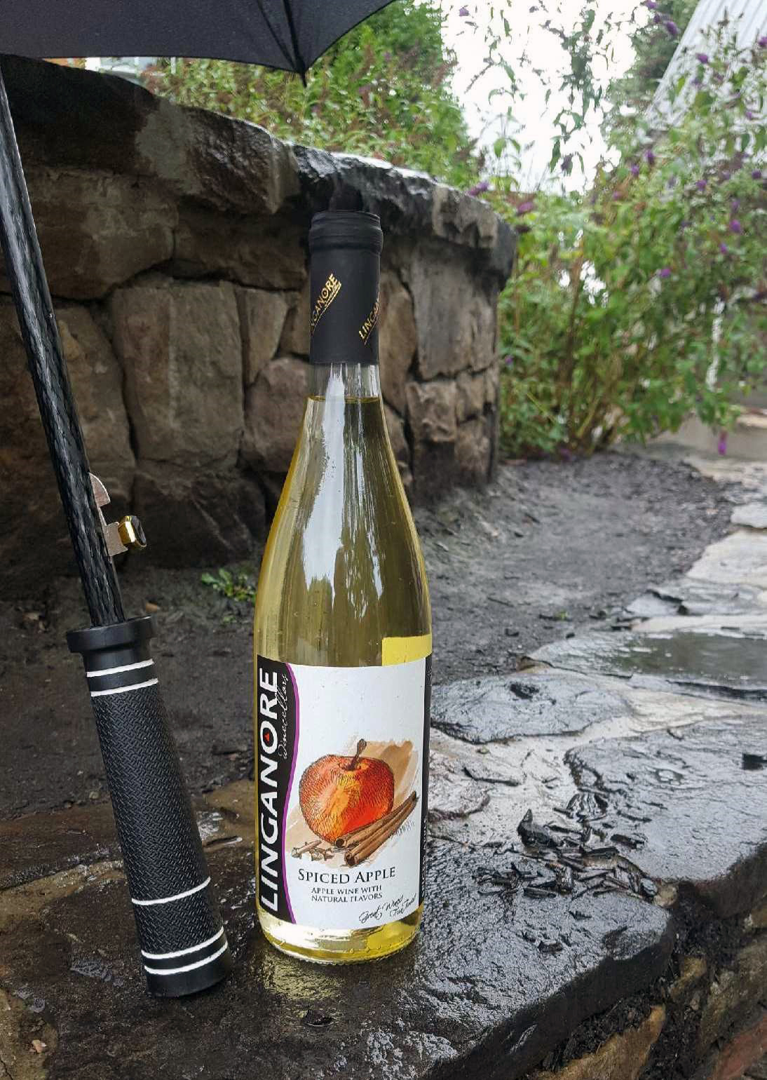 should degas applewine should degas applewine