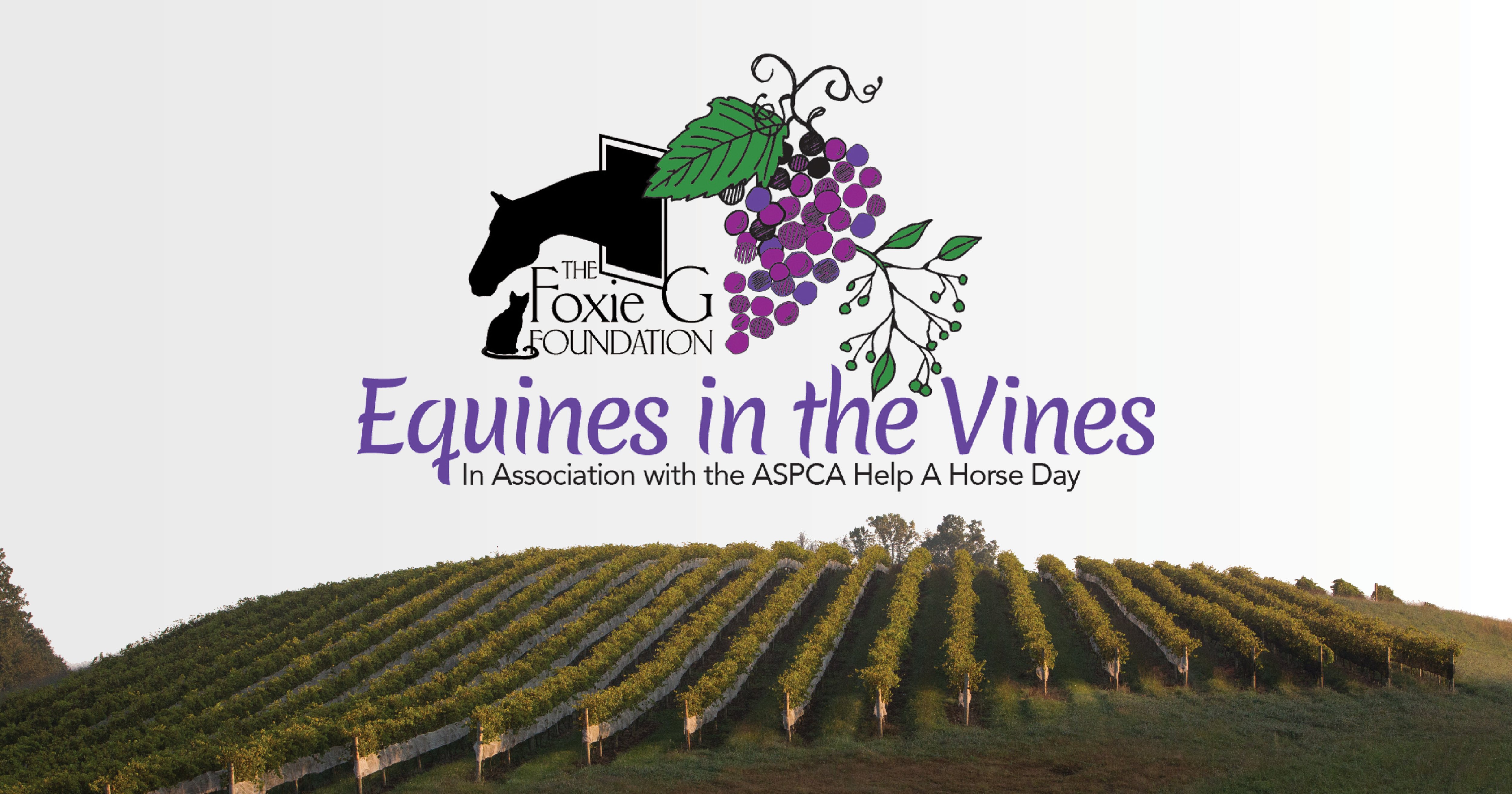 equines in the vines announcement