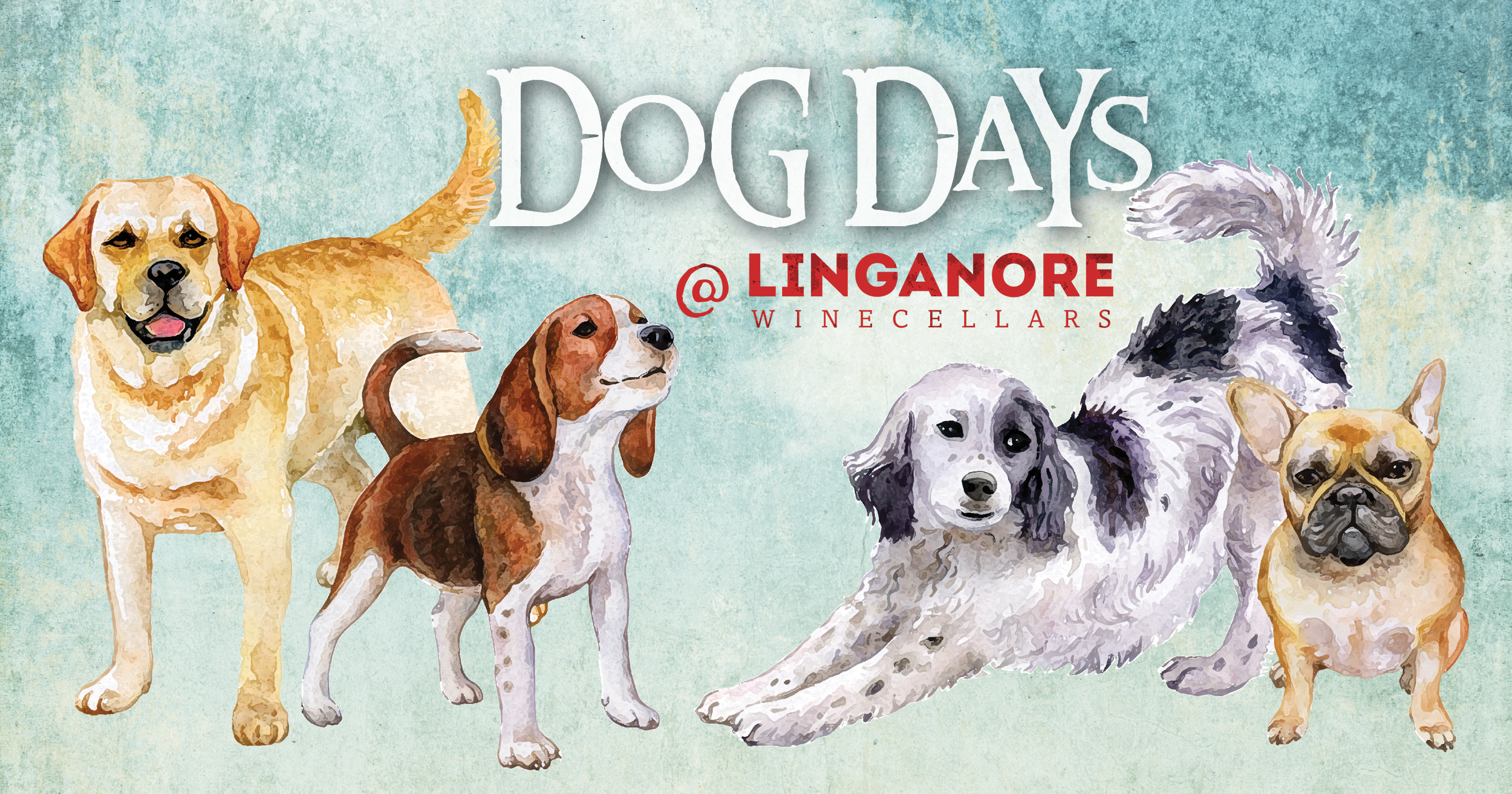 Bring your dogs to the winery