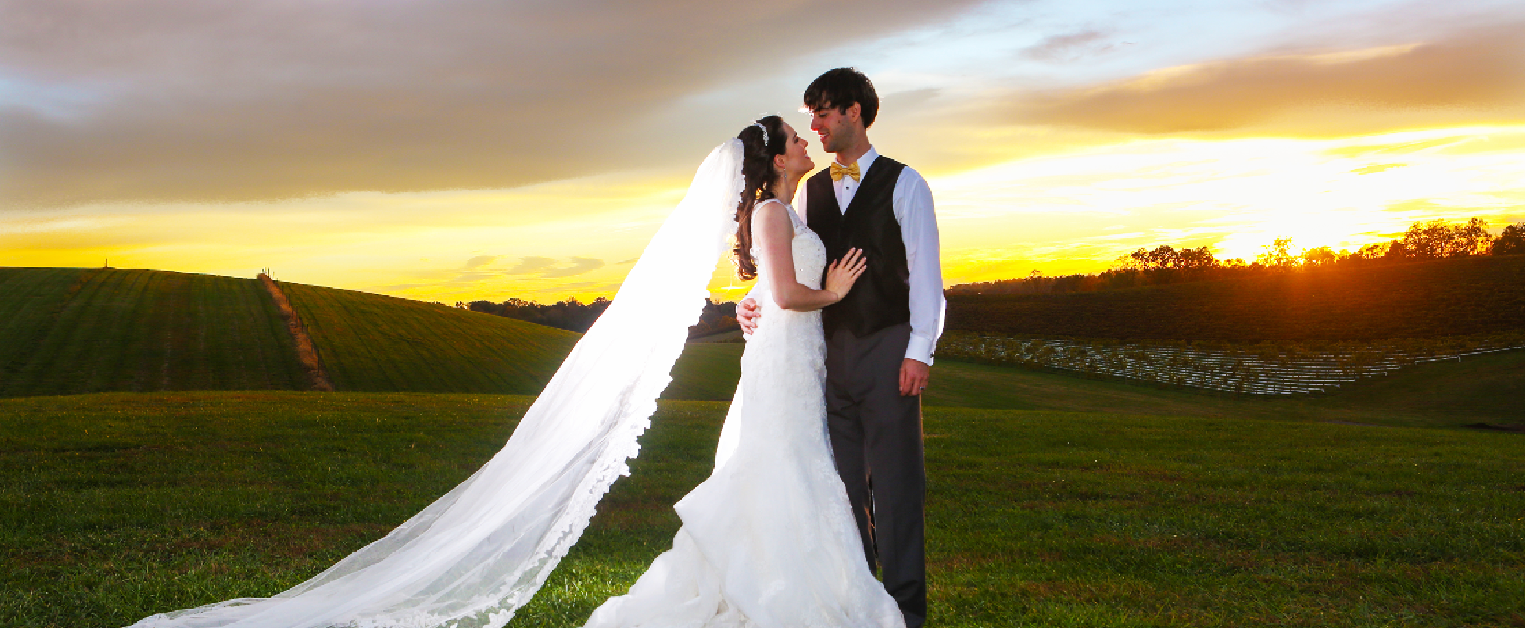 newly married couple in vineyards