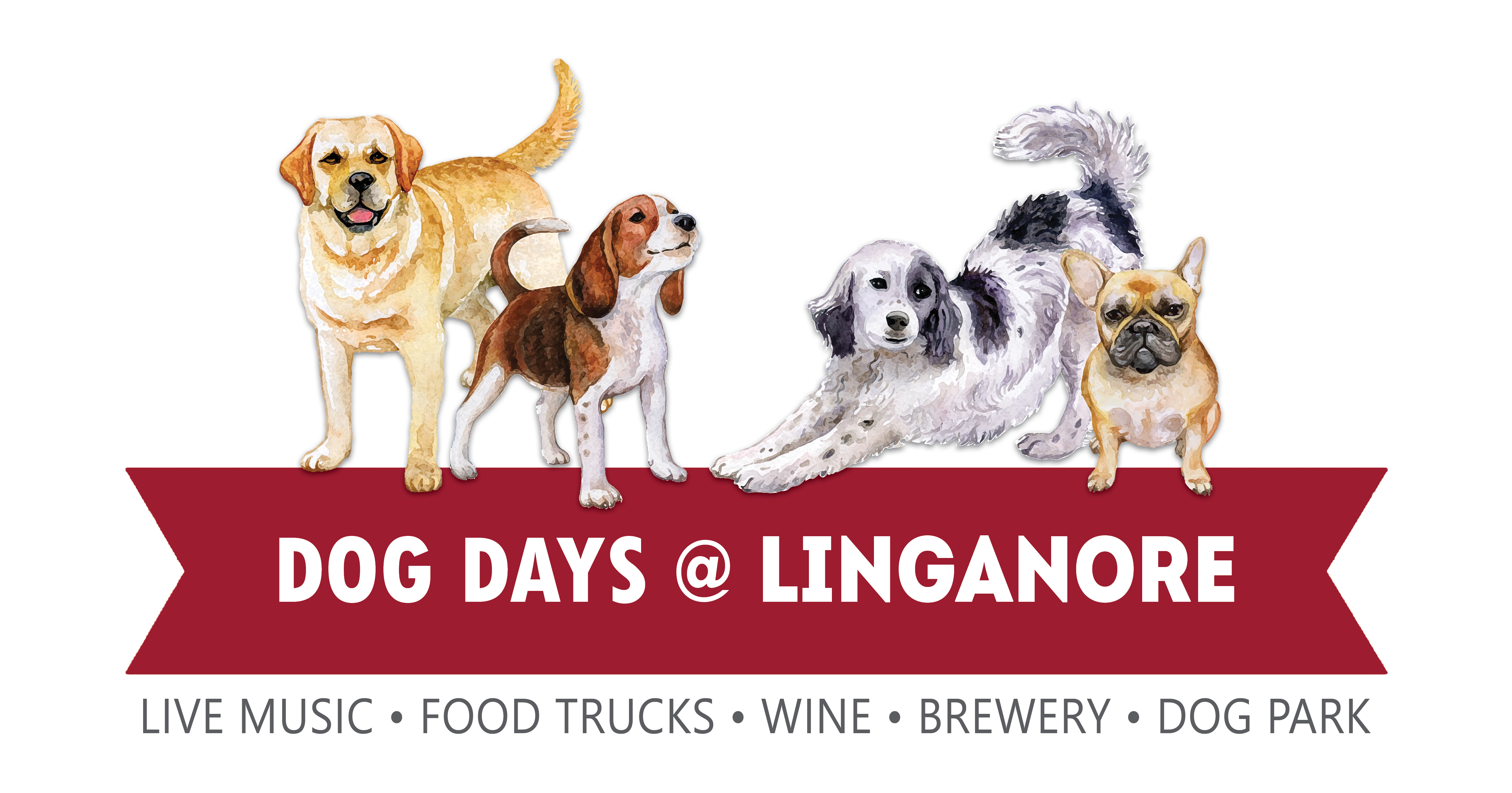 dog days at linganore banner