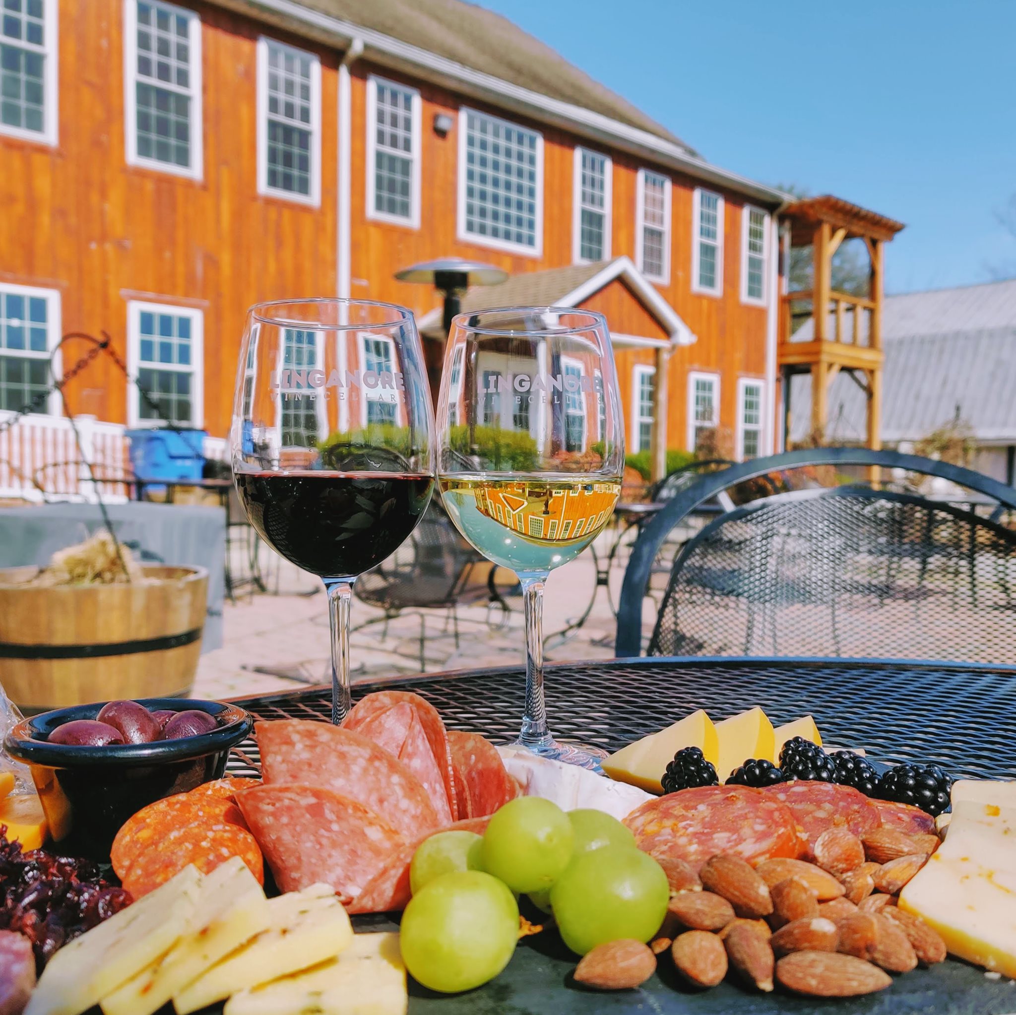 maryland wine tours