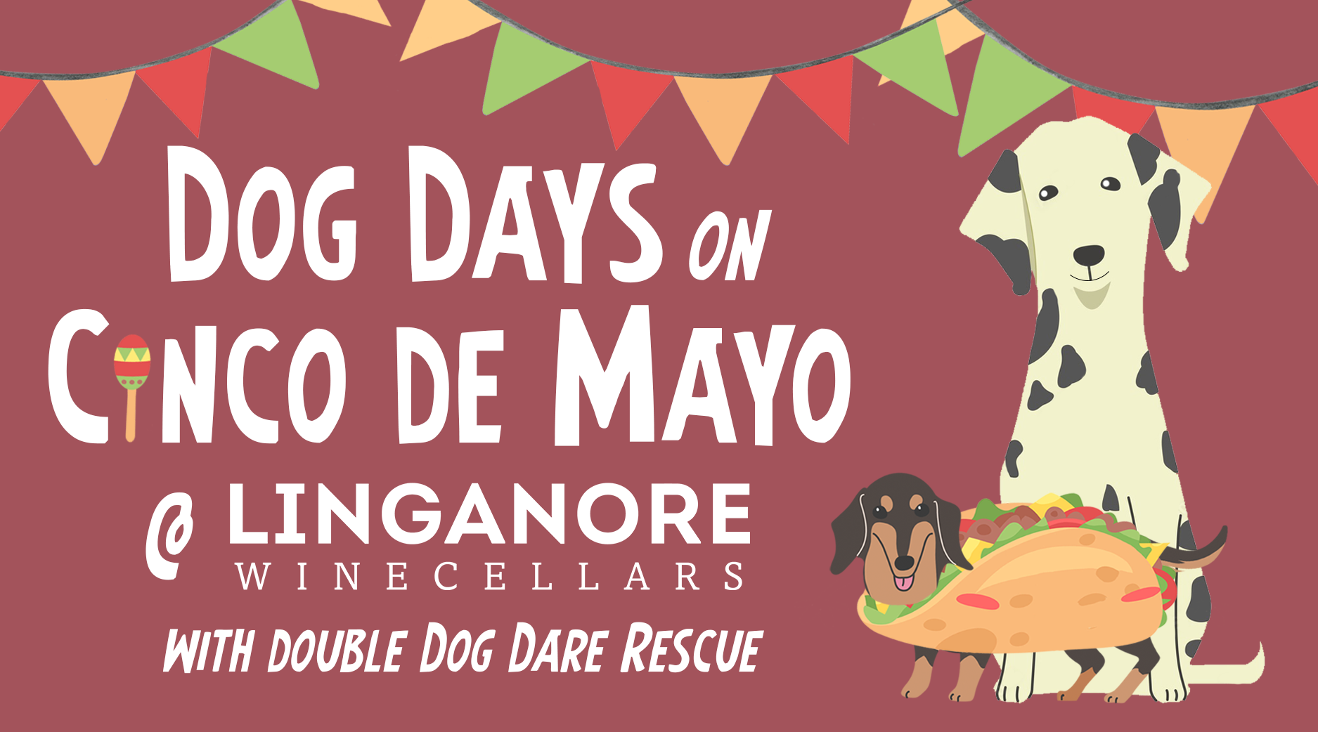 dog days on cinco de mayo