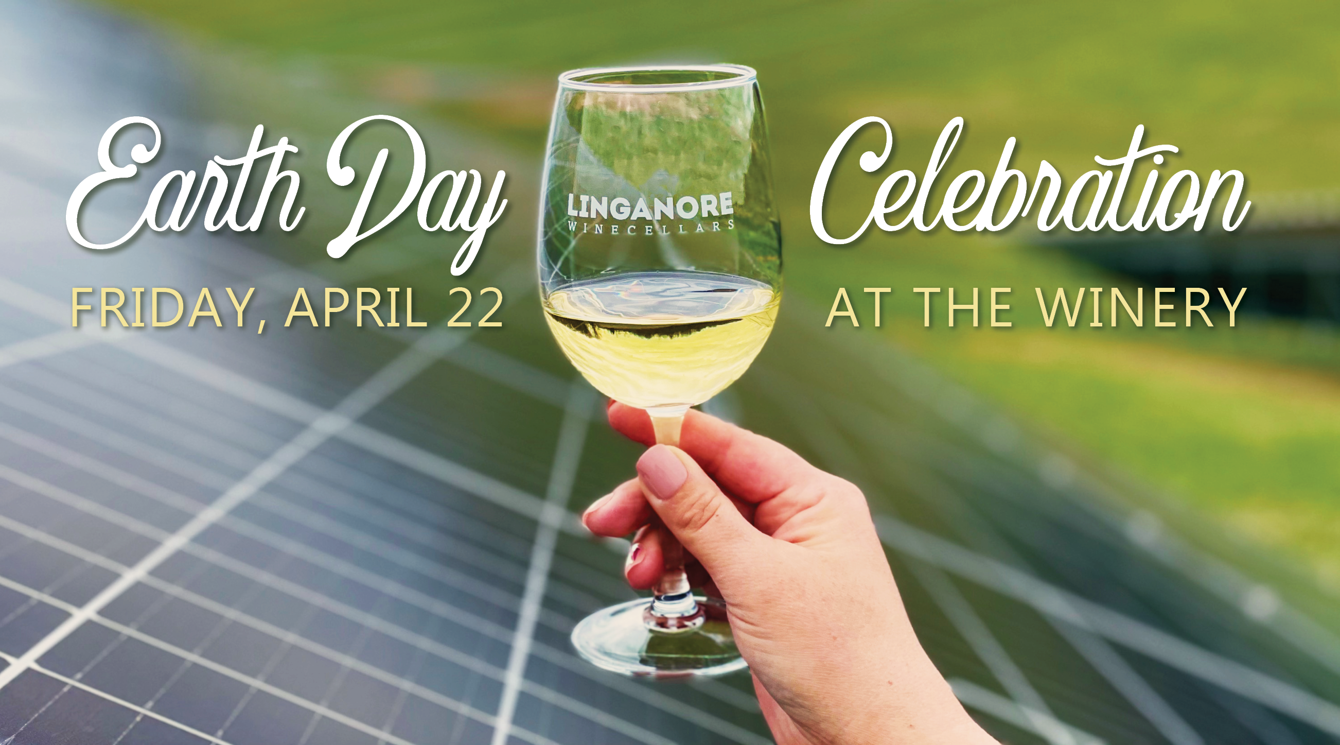 woman holding a glass of white wine in front of solar panels